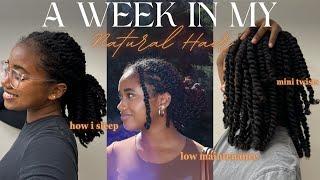 A Week in My Natural Hair | What I Do to Care For My Mini Twists