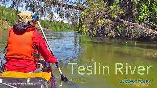 Teslin River with Nature Tours of Yukon.