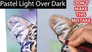How To Draw Hair With Pastel: Essential Light Over Dark Tips | Jason Morgan Wildlife Art