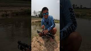 Mini CROSSBOW Fishing For HIGHLY INVASIVE FISH (MASSIVE)