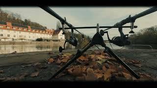 Fishing the Neckar: A Cinematic Urban Adventure#UrbanFishing   #CinematicVibes   #FishingAdventure