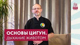 Основы цигун. Дыхание животом | Дыхательные упражнения | Московское долголетие