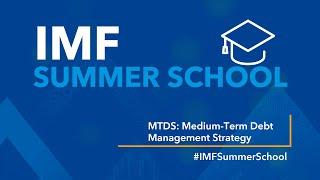 IMF SUMMER SCHOOL: Medium-Term Debt Management Strategy (MTDSx)