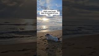 Enjoy 25 seconds of #beach time with our #rescuedog Colton, listen to the waves & relax️