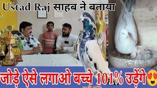 ऐसे जोड़े लगाओ।101%उड़ेंगे बच्चे।High Flyer Pigeon। Kabootar ke jode kaise lagaye