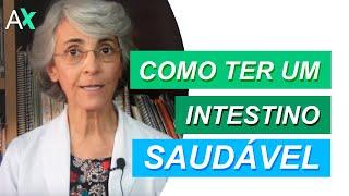 Como ter um intestino saudável