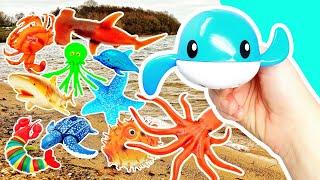 Babies Toddlers Learn Sea Animal Names & Facts at the Lake for Kids: Jellyfish Starfish Crab