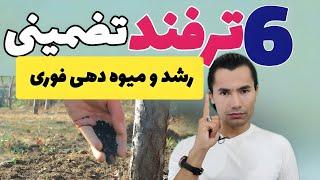 رشد و میوه‌ دهی سال آینده را با این شش ترفند چندبرابر کنیدساده و رایگان