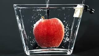 THIS APPLE WOULD KILL YOU - 1 YEAR underwater