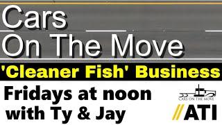 Be The Dealer 'Cleaner Fish' As You Start Your Auto Transport Business