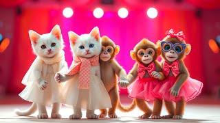 Cat & Monkey Dance Show #001  | Funniest Video Ever! #funnycat #dancingmonkey