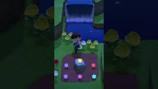 How to Visit Star Island in Animal Crossing!