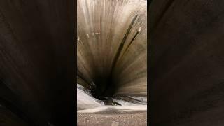 What Could Be Hiding In The Abyss #magnetfishing #creator #shortsfeed #kansas