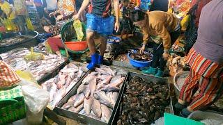 #1: Early Morning at Fish and Seafood Supply Market | Cambodia 2023 | Food Market