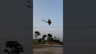 Cánh diều tuổi thơ chiều quê #Shorts │Yêu Miền Tây 63