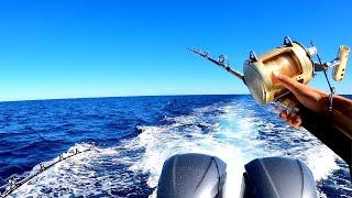 OFFSHORE Trolling And Bottomfish Mixed Bag