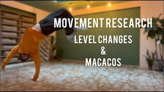 MOVEMENT RESEARCH: Level changes & Macaco exploration