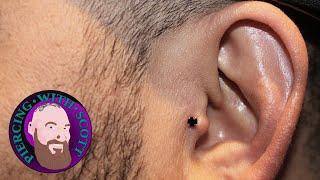 The Whole Truth - Tragus Piercing