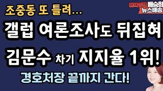 尹 대통령 지지율! 갤럽에서도! 경호처직원 익명글![배승희 뉴스배송]