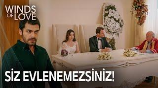 Halil Firat arrived at the wedding at the last moment | Winds of Love Episode 130 (MULTI SUB)