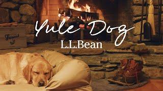 L.L.Bean Yule Dog | 1 Hour 4K Real Burning Fireplace | Cozy Holiday Background Vibes