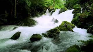 Japan Mountain Stream 4k. White Noise, Flowing Water Stream, Nature Sounds for Sleep and Relaxation.