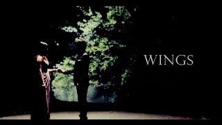 Damon & Elena | Wings