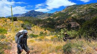 Backpacking Saguaro National Park: Miller Creek, North Slope, Mica Mtn, Turkey Creek - June 2023