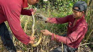 Săn bắt bằng tay không bữa nay anh em Văn Xinh Đoàn trúng mánh nữa rồi