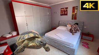 Tirana - Albania  Big Villa for 21€ per night !  (House Tour)