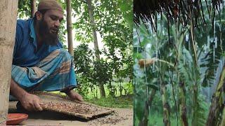 One of the Best rural dishes in a Million | মিলিয়নের মধ্যে একটা সেরা গ্রামীন খাবার️