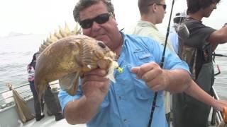 561 Sea Wolf | SPORT FISHING