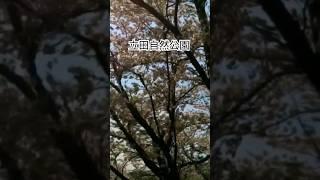 立田自然公園