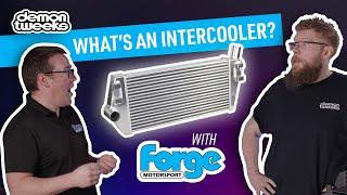 Why You Need a Bigger Intercooler | Forge | Demon Tweeks