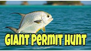 Giant Permit Hunt: Jamaica's Ultimate Fishing Challenge in Real time