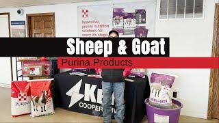 Sheep & Goat Purina Products