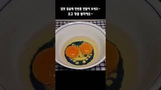 다른 반찬이 필요 없는 스팸마요덮밥️ 간단하고 맛있는 한끼를 즐겨보세요