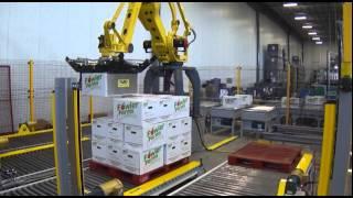 ARPAC's Robotic Conventional Case Palletizer