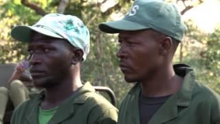 Anti-Poaching: Mozambique