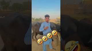 Kuch To Garbar Hai #funny #comedy #funnycomedy #umarbhai #trendingreels #ytshorts #viralshort