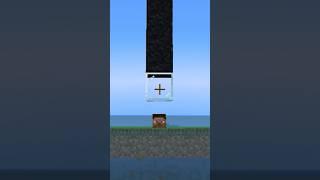 Minecraft steve logic in 15 seconds  #shorts #minecraft #viral