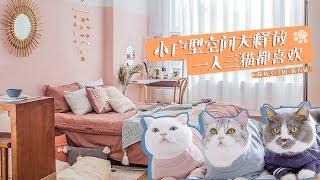 [Eng Sub]小戶型改造 拯救一人三貓的棲息地丨Apartment makeover for one person and three cats