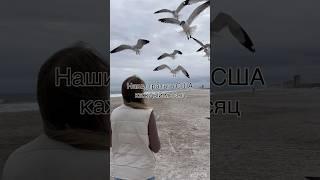 Наш доход в месяц через год в  в конце видео #америка #переездвсша #сша #иммиграция #жизньвсша