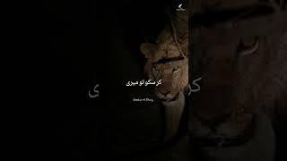 Sher Bhooka Ho Magar #shorts #ytshorts #trending #shortsvideo #shortsfeed #poetry