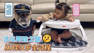 法斗陪伴人类幼崽成长日记【狗哥纪实录】