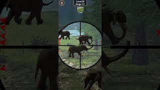 Wild Sniper: Hunting Animals | Shooting Animals |