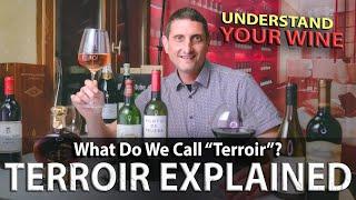 What is Terroir in Wine? An Essential Wine Concept Explained!