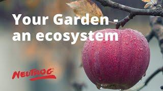 Neutrog TV | Your Garden - an ecostystem + Gyganic