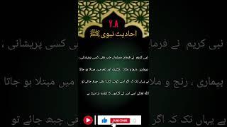 Daily Hadees