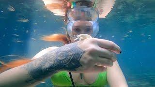 White Crayfish in a Sulfer Freshwater Spring with Sandboils ASMR 🩵